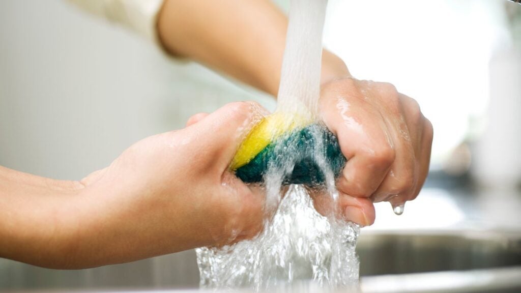 How To Clean Sanitize Sponge With Bleach