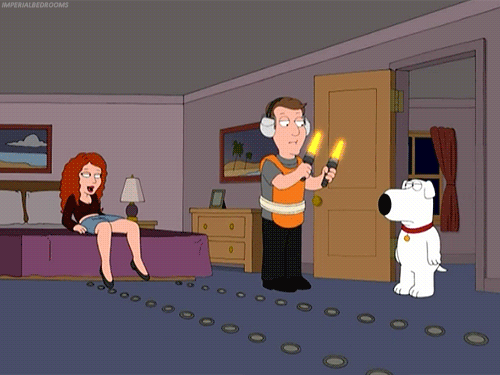 A short clip from the TV series, Family Guy, of the character Brian being signalled by an airport worker to have sex with a woman laying in bed.