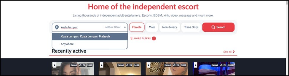 Screenshot of a website that reads:
Home of the independent escort
Listing thousands of independent adult entertainers. Escorts, BDSM, kinks, video, massage and more.