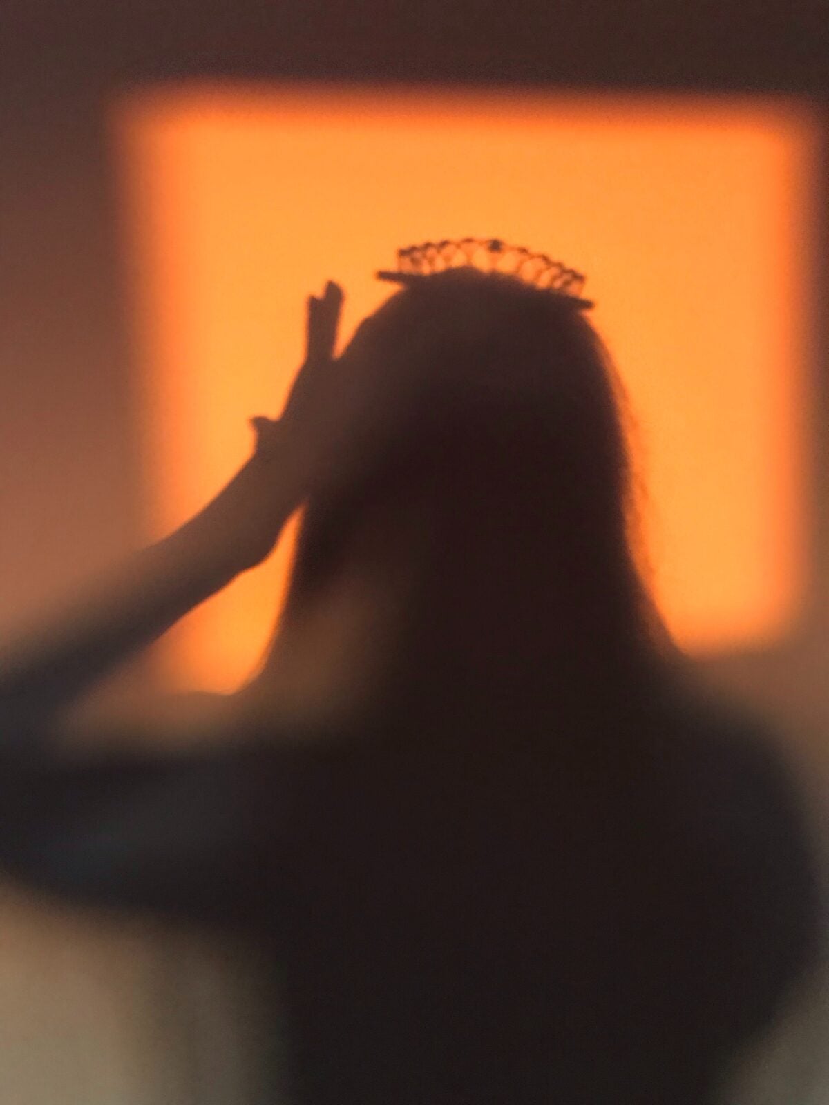 Silhoutte of a woman who is wearing a crown.