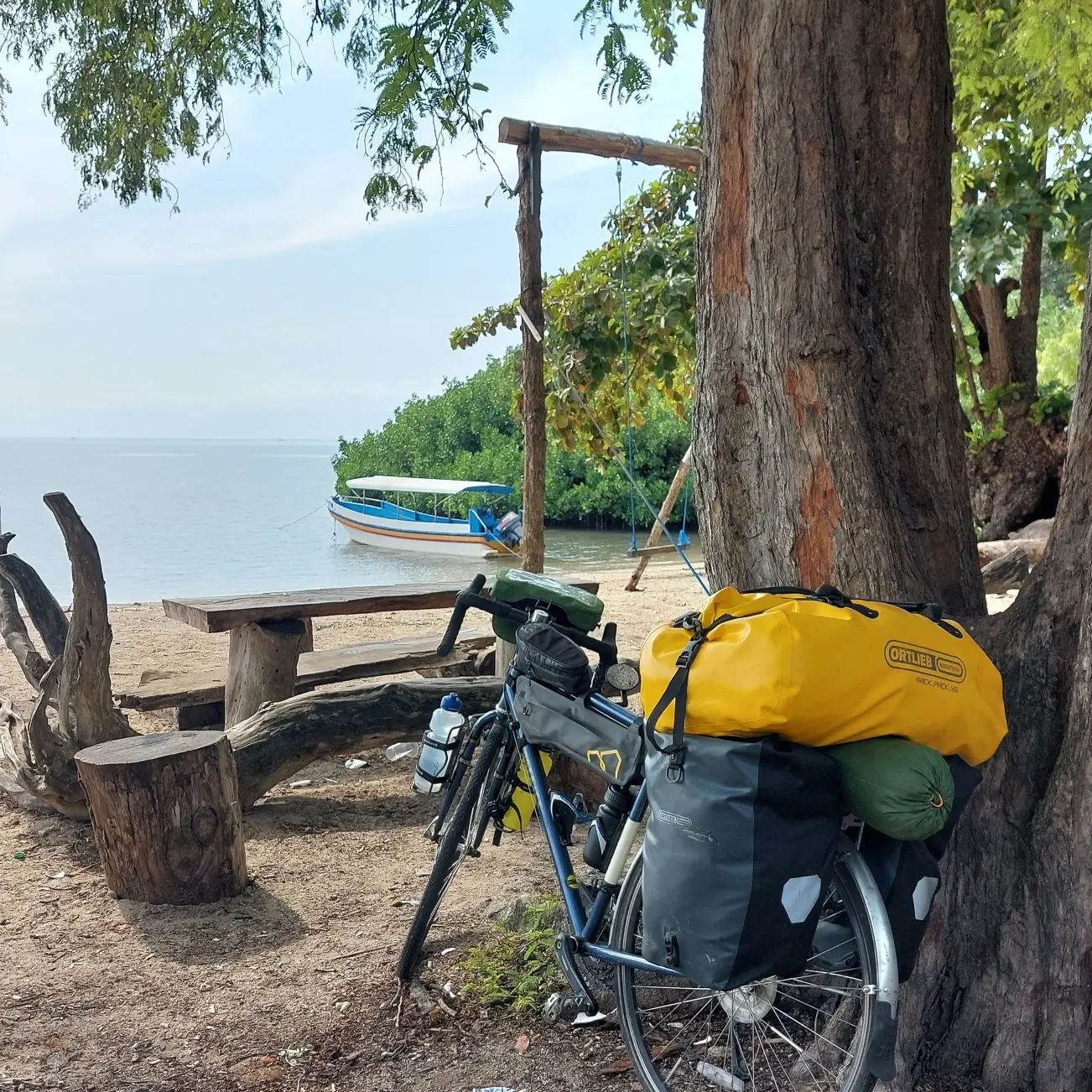 A bicycle with multiple bags attached to its back, resting on a tree at a beach. 