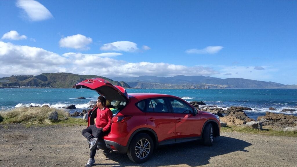 Cars Are An Affordable Mode Of Transport In New Zealand.