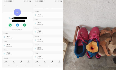 Image, Left: Blocked Call Logs From J. Image, Right: Hibiscus That I Found In My Shoe