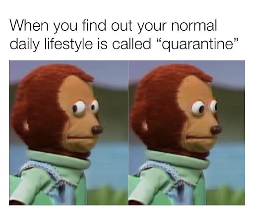 meme quarantine