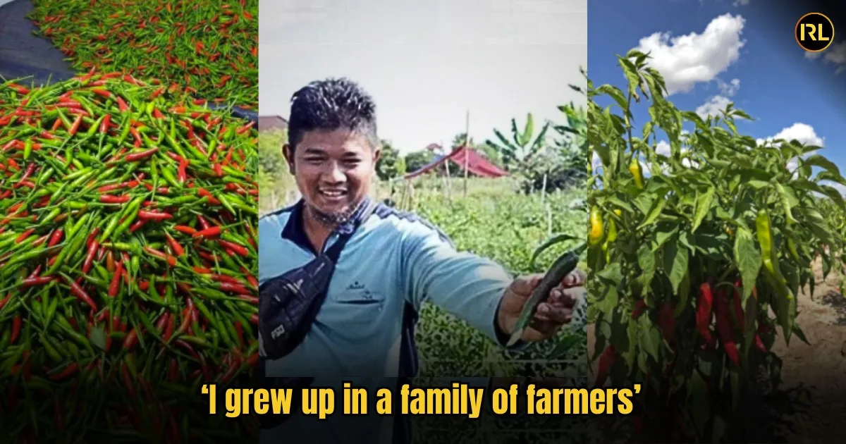 I Quit My Govt Job And Now I Make Rm80000 Per Season As A Chilli Farmer In Jerteh 1