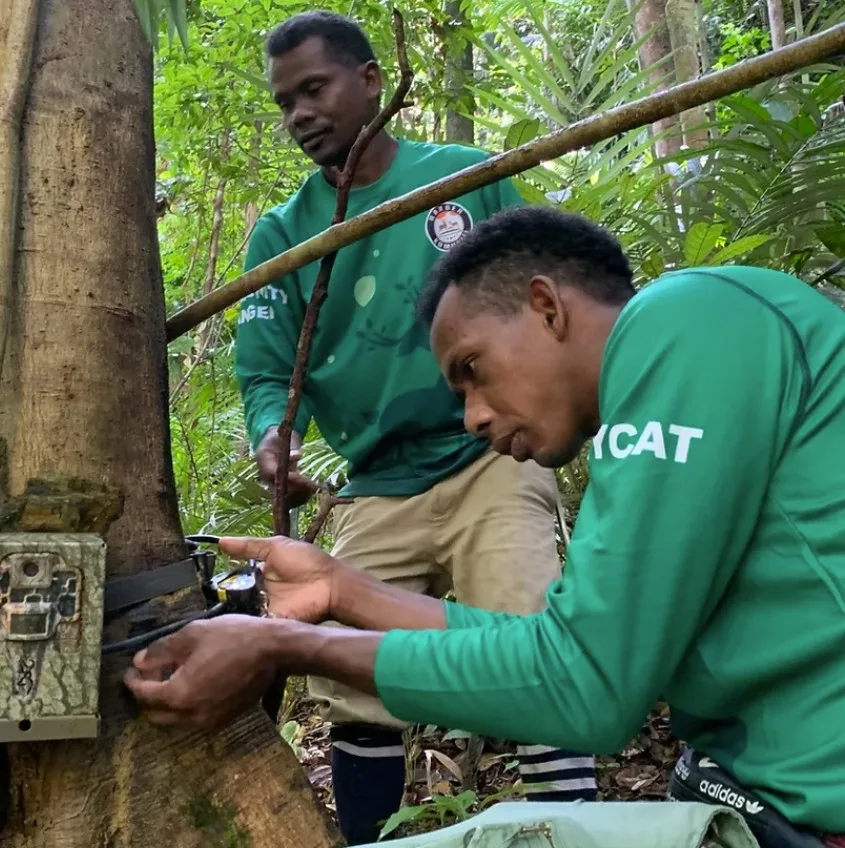 Mycat Volunteers Installing Camera Traps