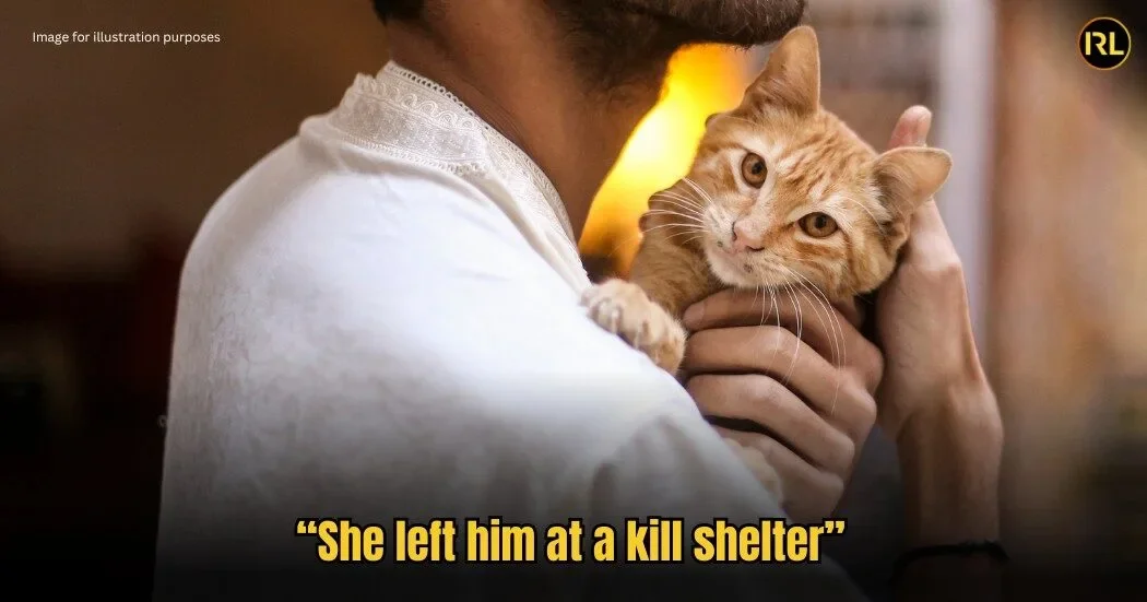 “She Got Rid of My Cat—So I Got Rid of Her,” Shares M’sian Man About His Ex-Girlfriend in In Real Life She Got Rid of My Cat—So I Got Rid of Her Shares Msian Man About His Vindictive Ex 1