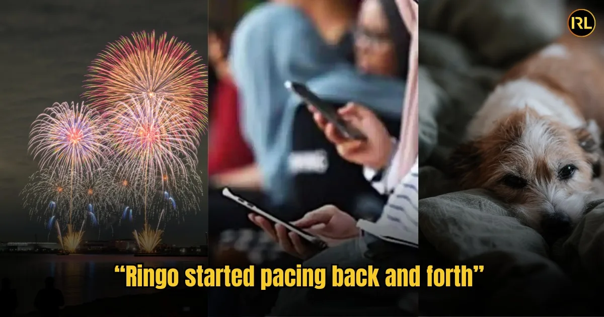 "I Used to Love Setting Them Off Too" Malaysian Content Creator's CNY Post Has Pet Owners Thinking Twice in In Real Life Copy Of Sajid Work 3