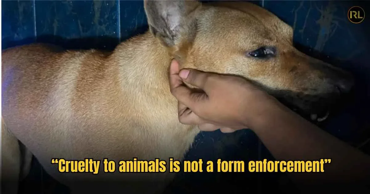 “Cruelty to animals is not a form enforcement" said SAFM in In Real Life 14
