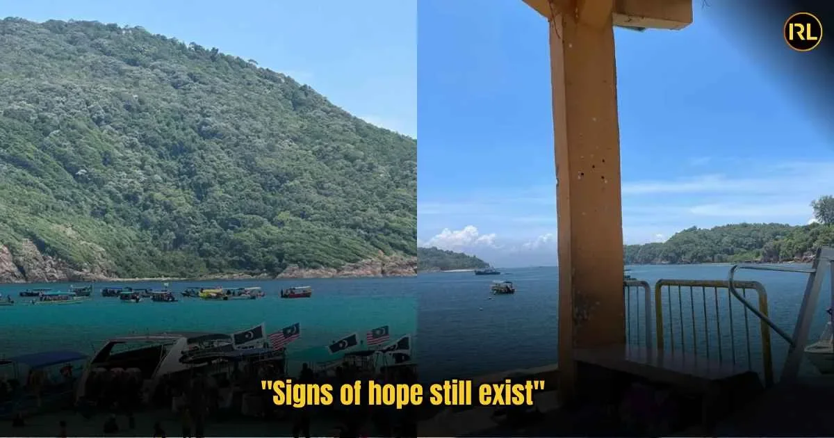 "Overtourism Slowly Causes Damage" Redang's Coral Reefs Are Dying But Can Still Be Saved in In Real Life 85
